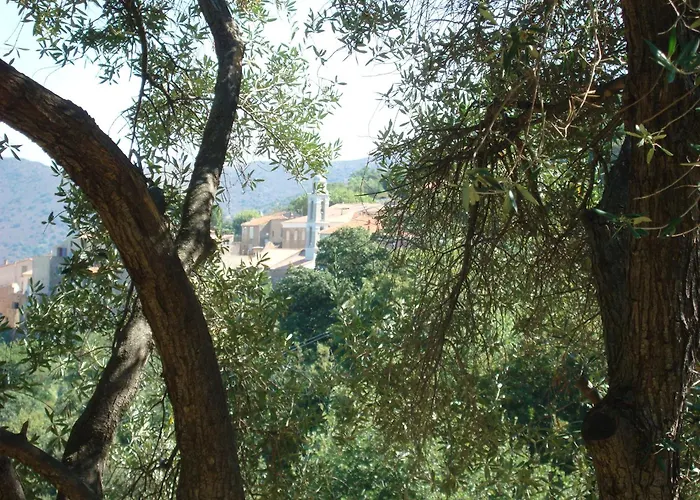 Costa Di Sognu