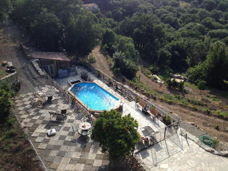 Di Sognu Costa