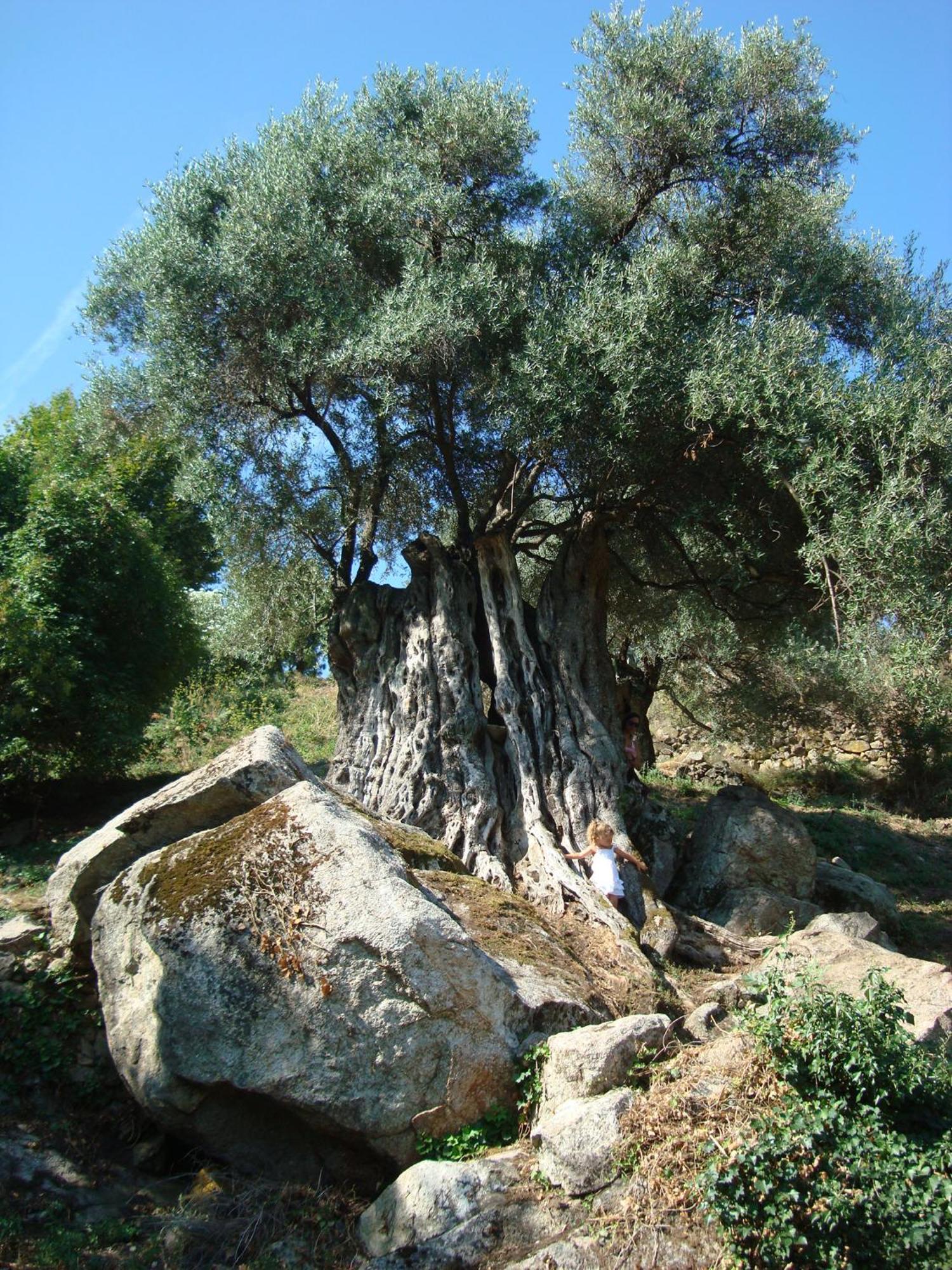 Di Sognu Holiday home Costa