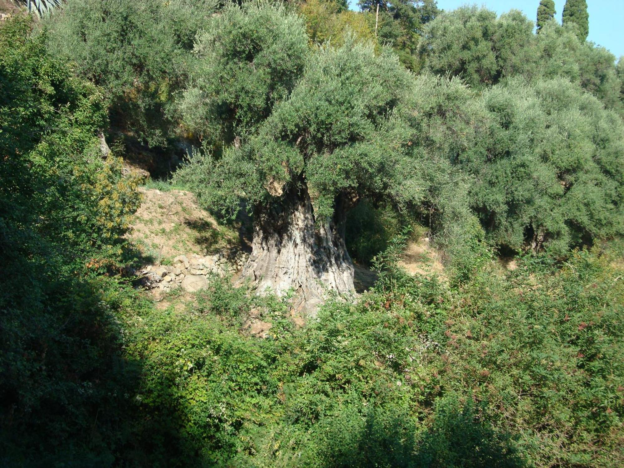 Holiday home Di Sognu Costa