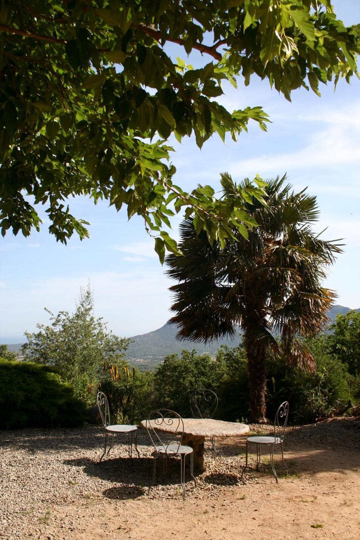 Di Sognu * Costa